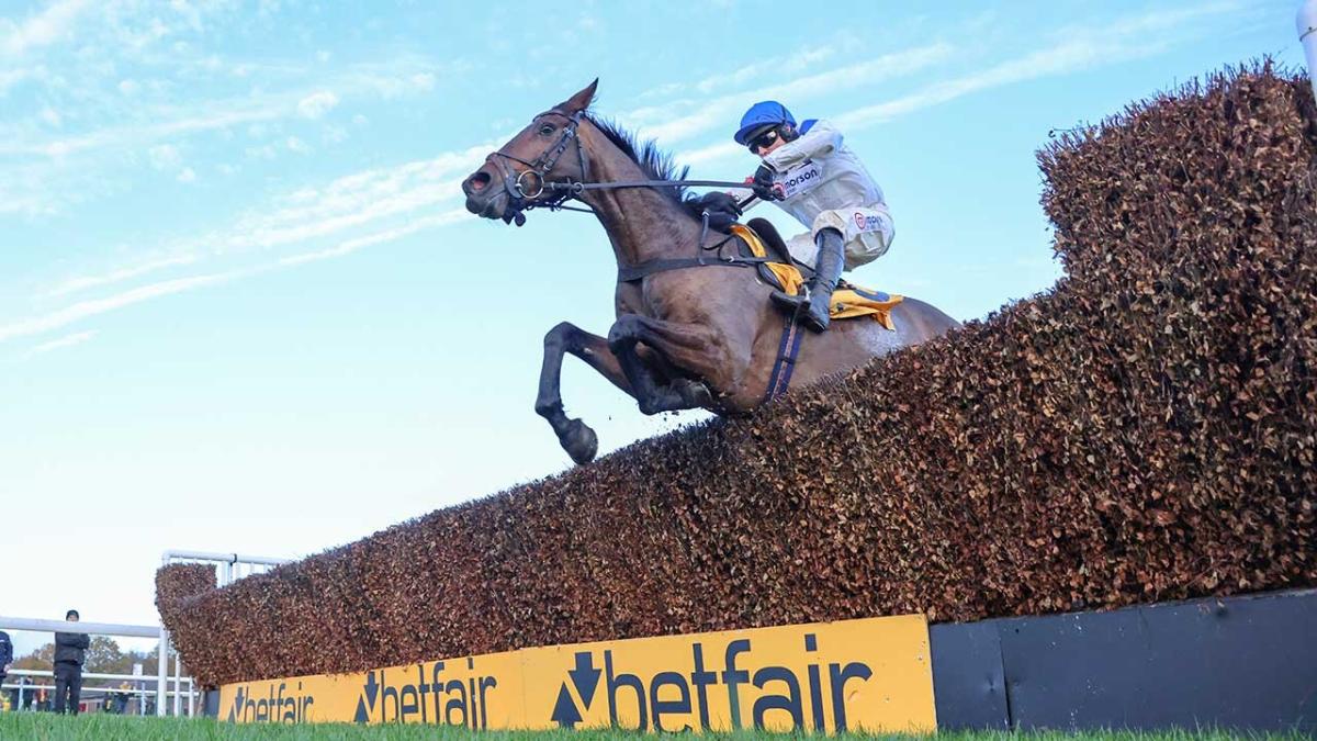 Protektorat wins the Betfair Chase, Haydock